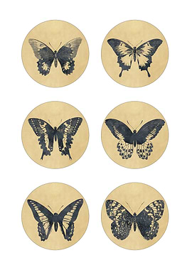 Vintage Butterflies Set