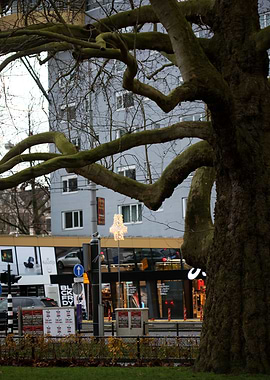 Amsterdam city tripping