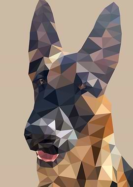 German Sheppard