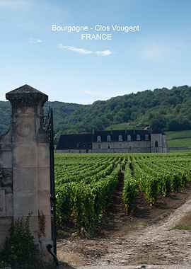 Clos Vougeot