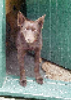 dog greets you at the door