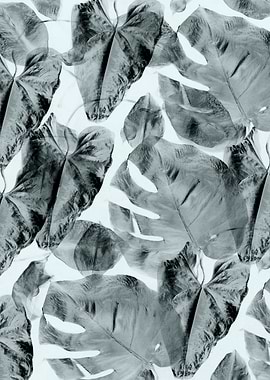 Plant leaves background