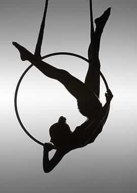 The Aerialist