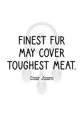 Chief Joseph On Fur