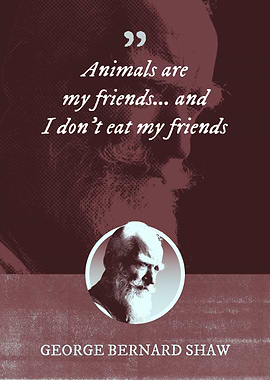 Animals are my friends