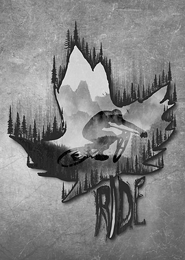 Illuminating Gray Riders