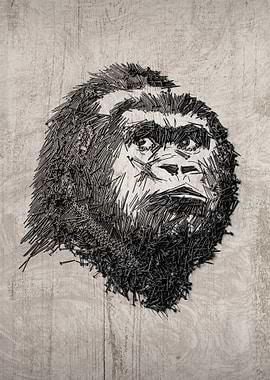 Gorilla