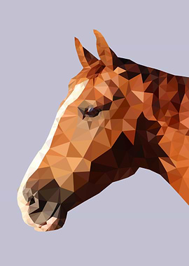 Thoroughbred horse