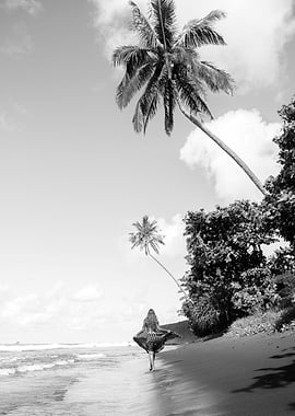 Palmtrees and Black Sand