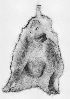 Monkey Pencil Drawing Art