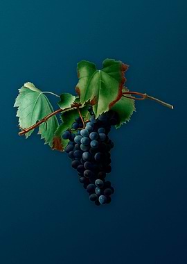 Vintage Grape Vine Fruit