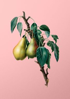 Vintage Lemon Pear Fruit