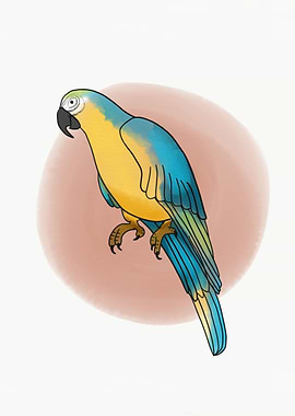 Parrot bird painting