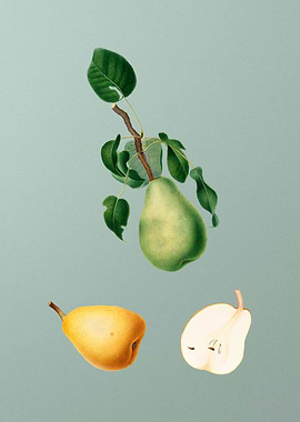 Vintage Winter Citron Mint