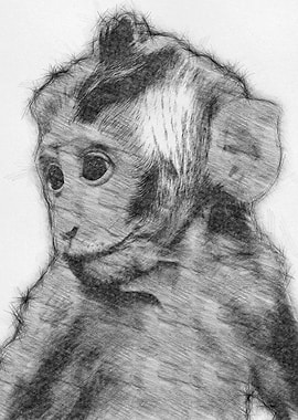Moneky Sketch Drawing Arts
