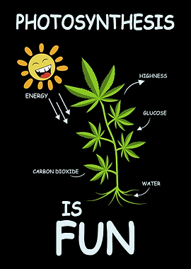 Photosynthesis Is Fun Gard