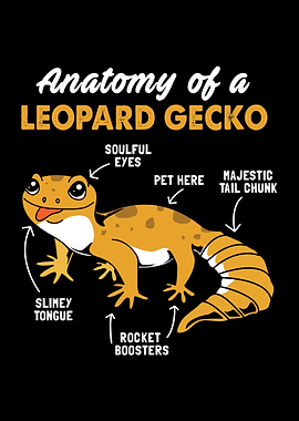 Anatomy Leopard Gecko