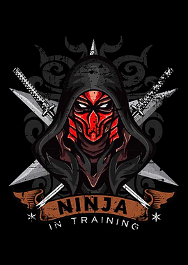 Ninja gift