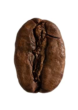 Coffee bean