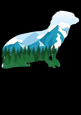 Sea Otter I Alaska Nature