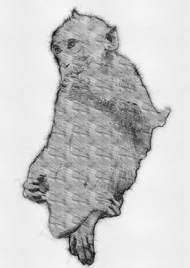 Monkey Pencil Sketch Draw