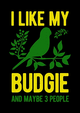 Budgie Bird Funny