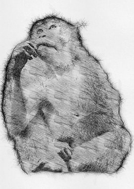 Monkey Pencil Sketch Draw