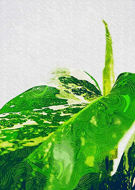 Large Monstera Leaves Art