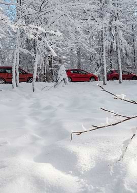 Fantastic winter landscape