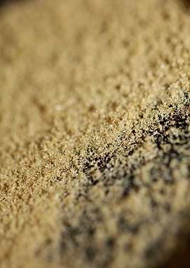 Cannabis THC background