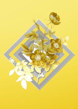 Yellow Alpine Rose Flower