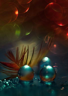 Hydrogel balls water