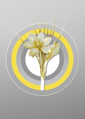 Gray Autumn Crocus Flower