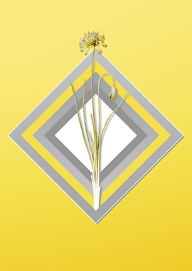 Yellow Autumn Onion Flower