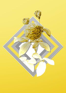 Gray and Yellow Rose Flora