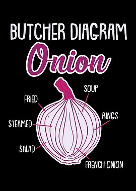 Onion Anatomy