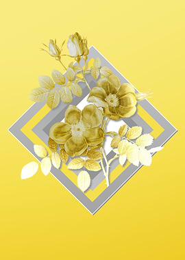 Grey and Yellow Briar Rose