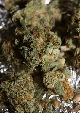 Super lemon kush stuff