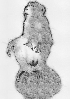 Monkey Pencil Sketch Art