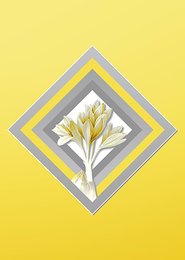 Yellow Autumn Crocus Flora