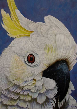 Cockatoo Portrait Painting