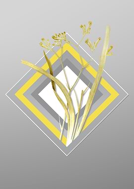 Gray and Yellow Flower