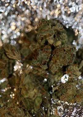 Super lemon kush stuff