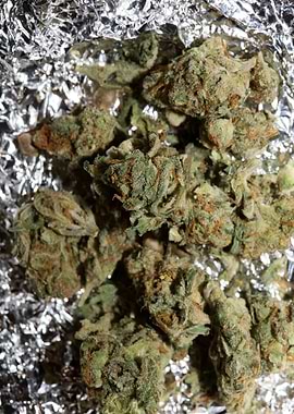 Super lemon kush stuff