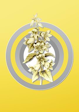 Gray and Yellow Bellflower