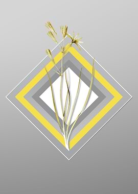 Gray Amaryllis Montana Art