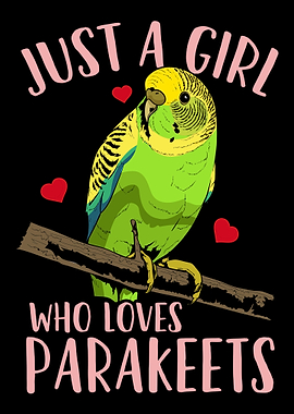 Parakeet Parrot Bird Lover