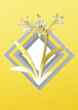 Grey and Yellow Amaryllis