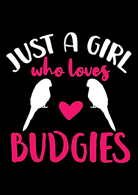 Budgie Budgie Lover Parake