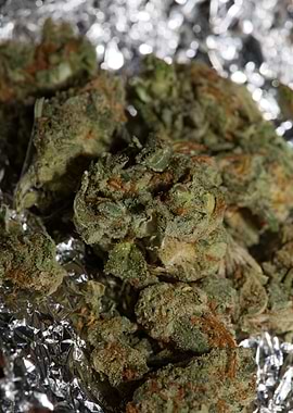 Super lemon kush stuff